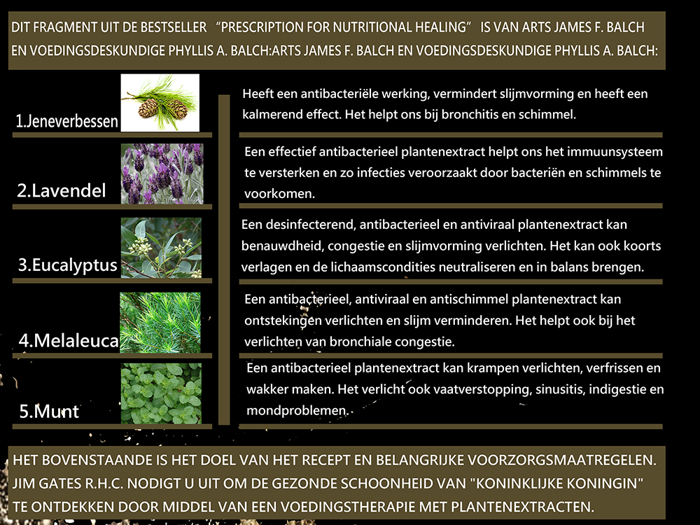 seventh slide
